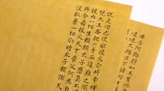 六代目と染司よしおかの工房で「写経用紙」を黄檗で染める（京都マナビアイ）